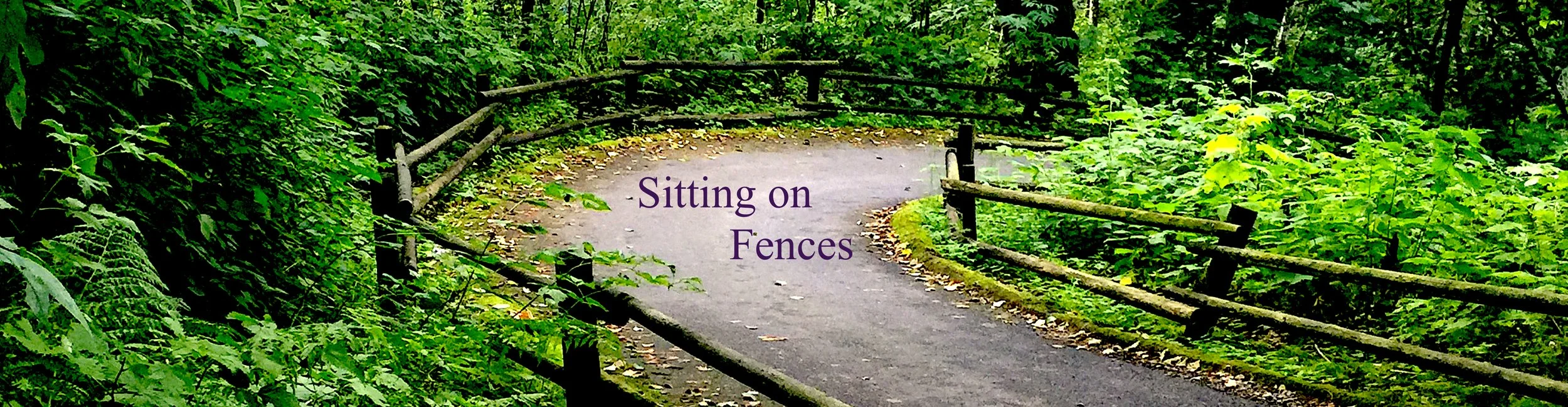 sitting on fences redwoods.jpeg