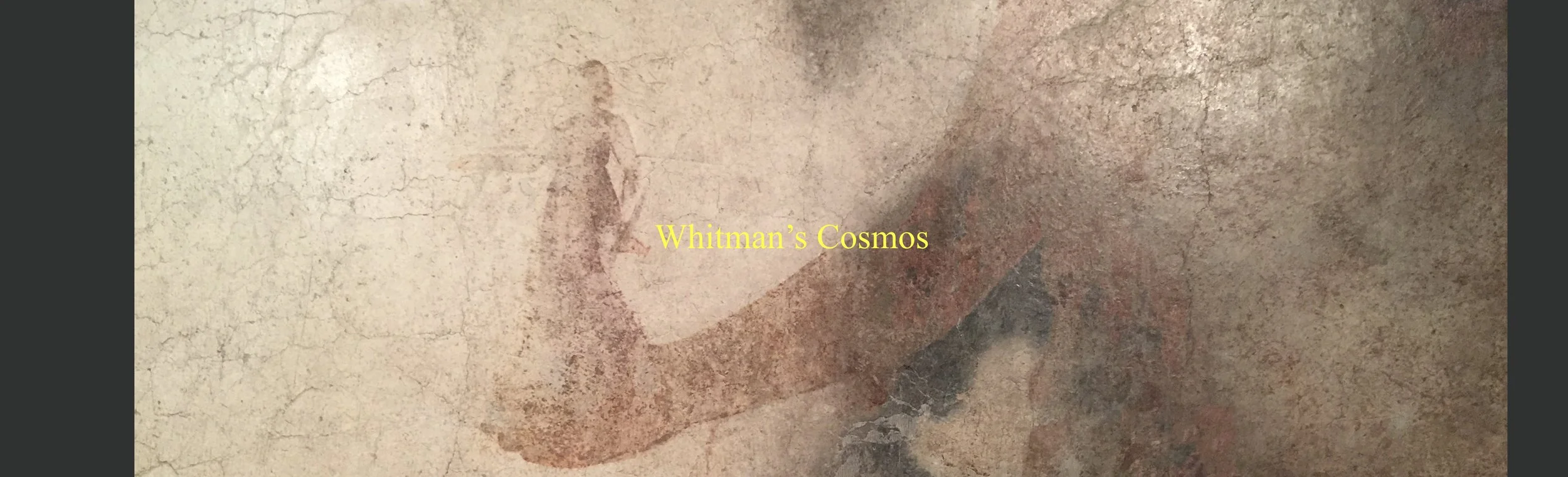whitman's cosmos banner.jpeg