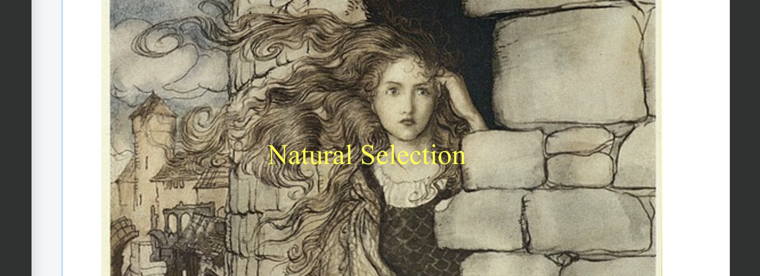 natural selection banner.jpeg