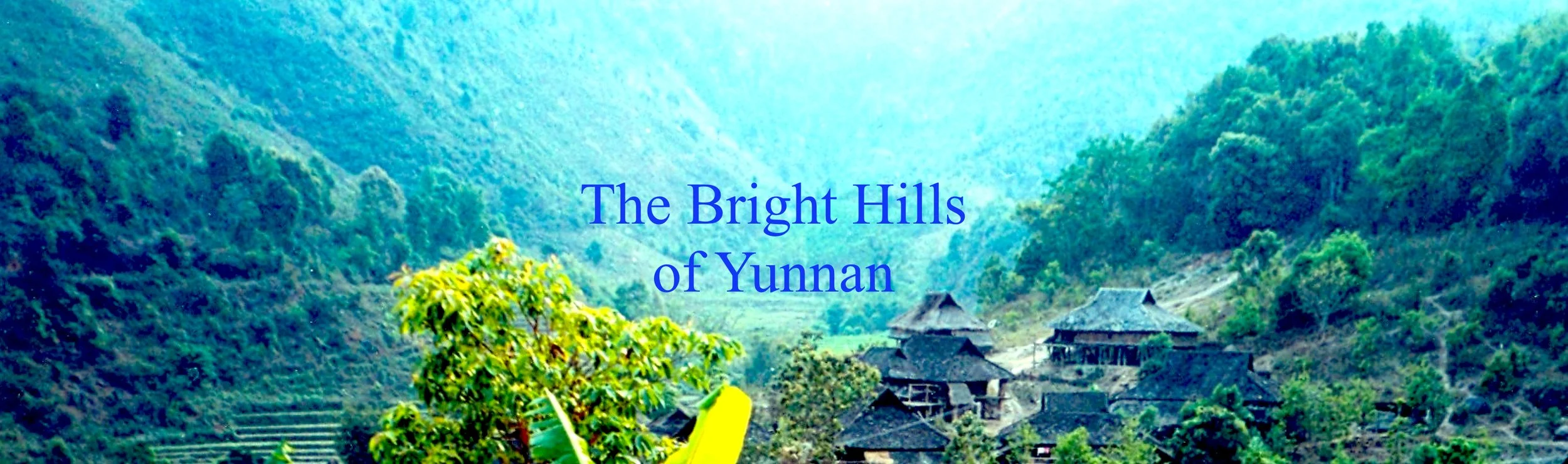 bright hills banner.jpeg