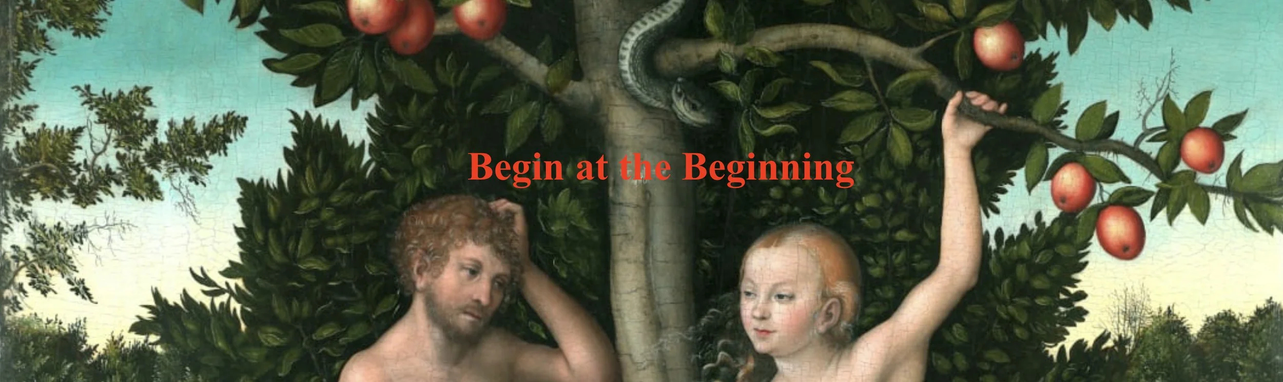 begin at the beginning banner.jpeg