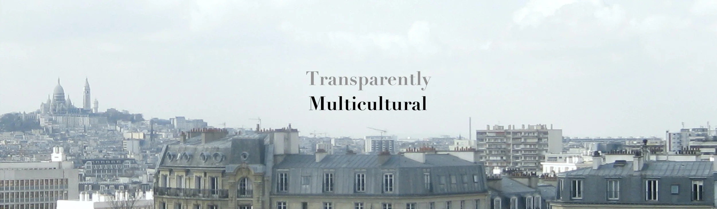 trans multi banner.jpeg