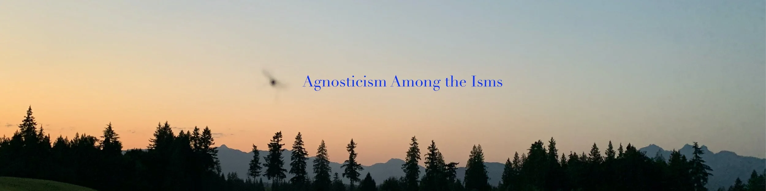 agnost among isms banner.jpeg