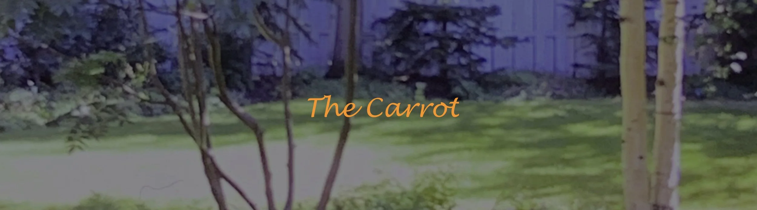 the carrot banner.jpeg