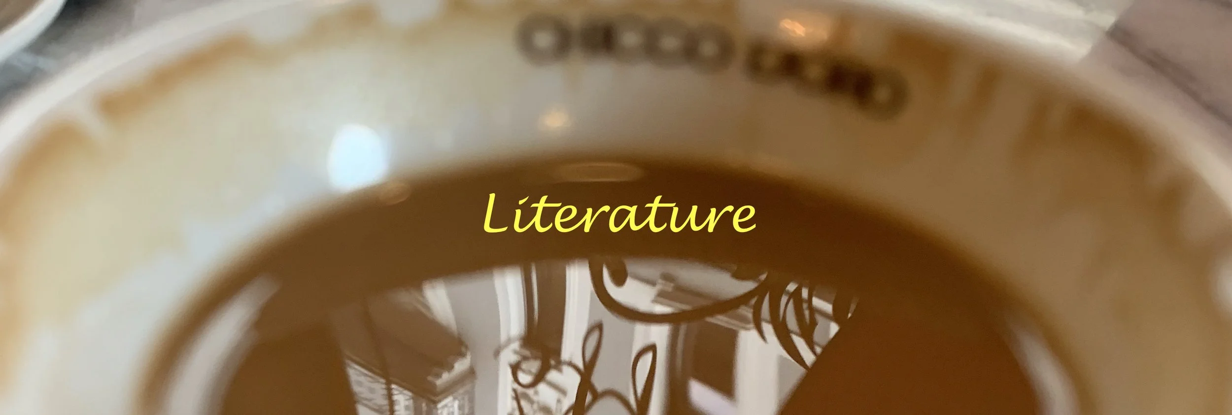 literature banner.jpeg