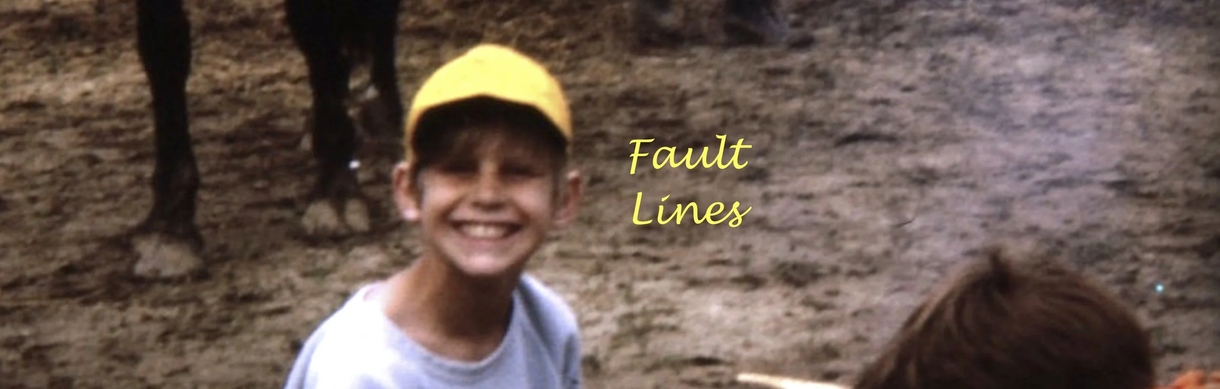 fault lines banner.jpeg