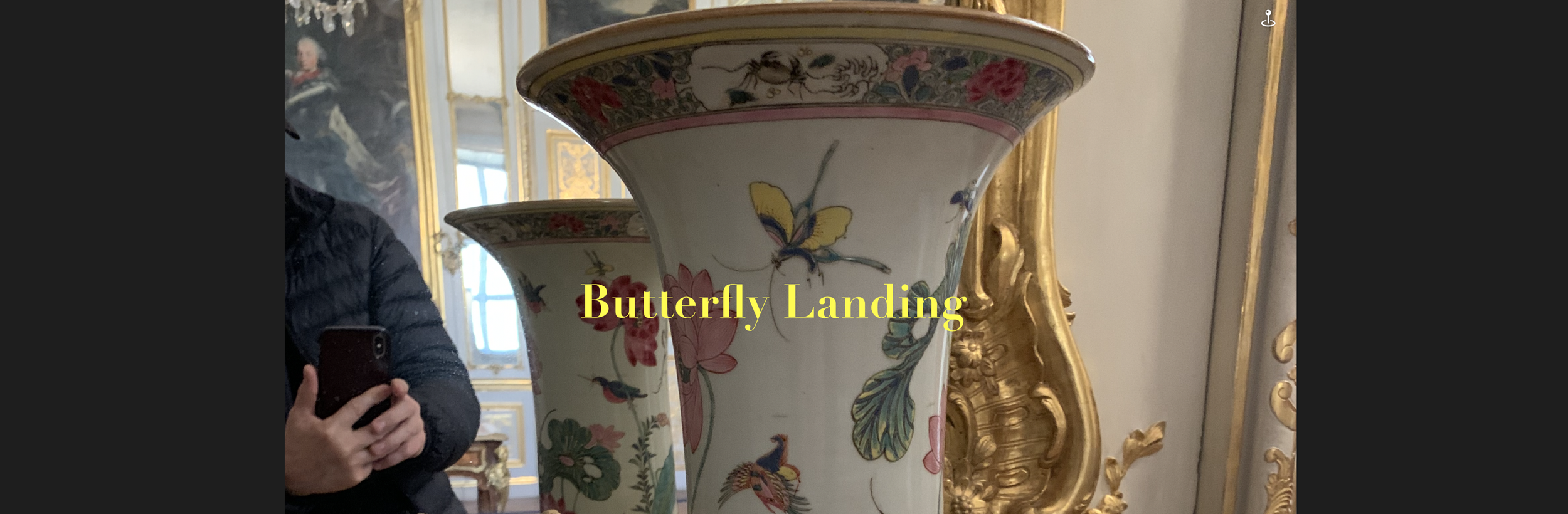 butterfly landing banner.png