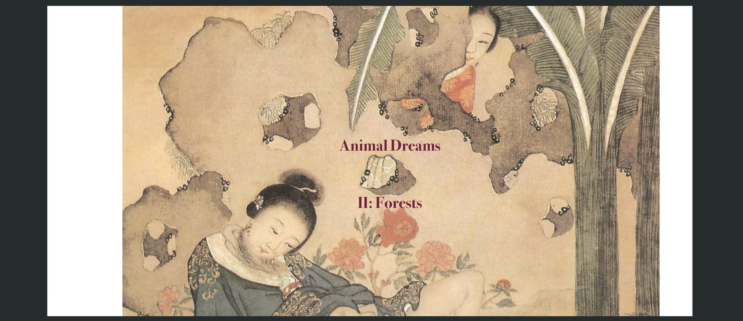 animal drams 2 forests banner.png