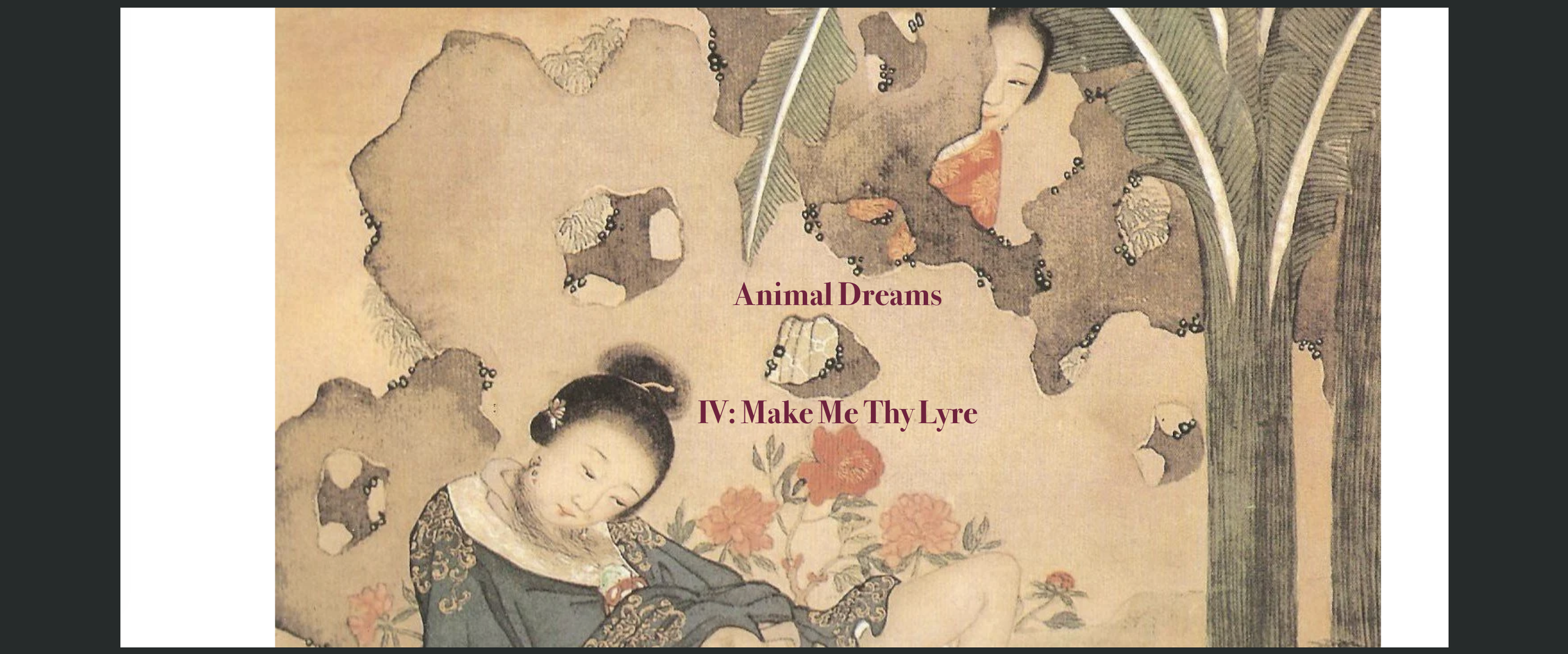 animal dreams 4 make me banner.png