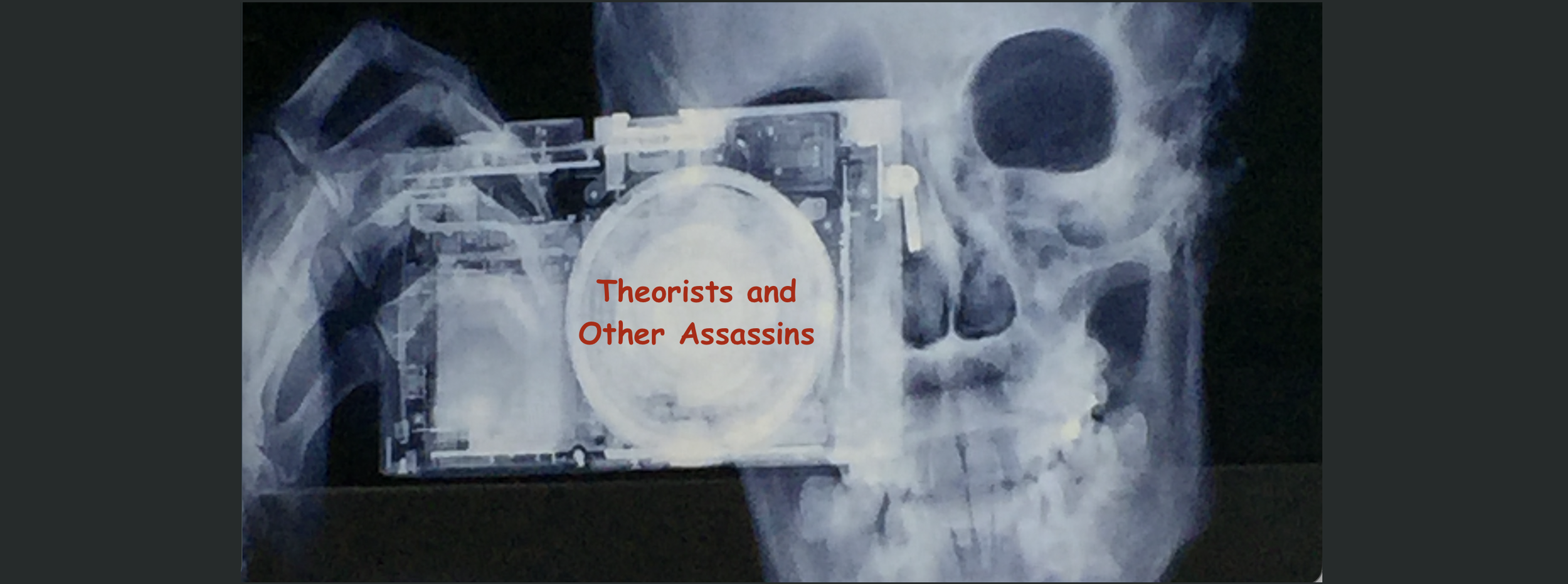 theorists and other assassins banner.png