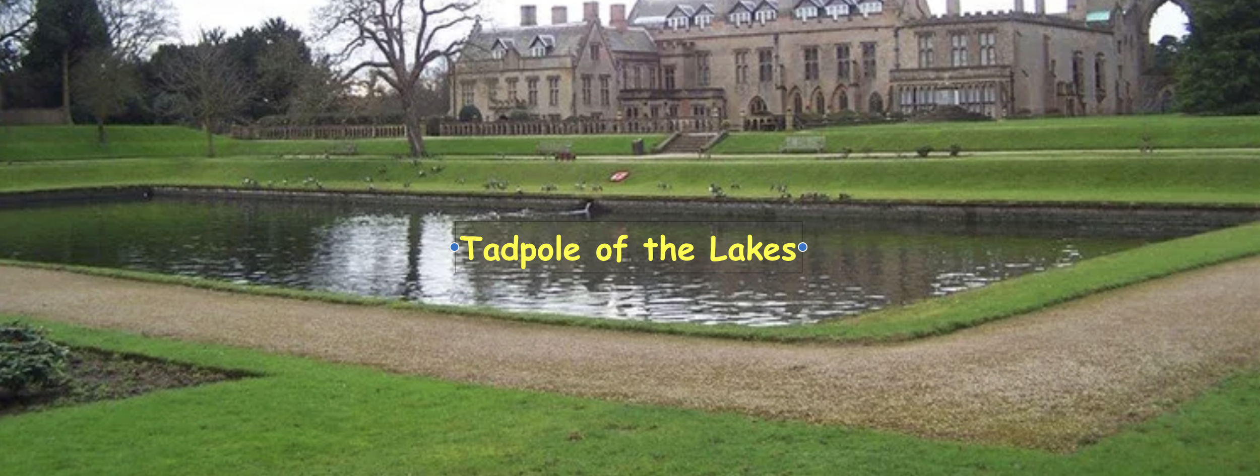 tadpole of the lakes banner.png