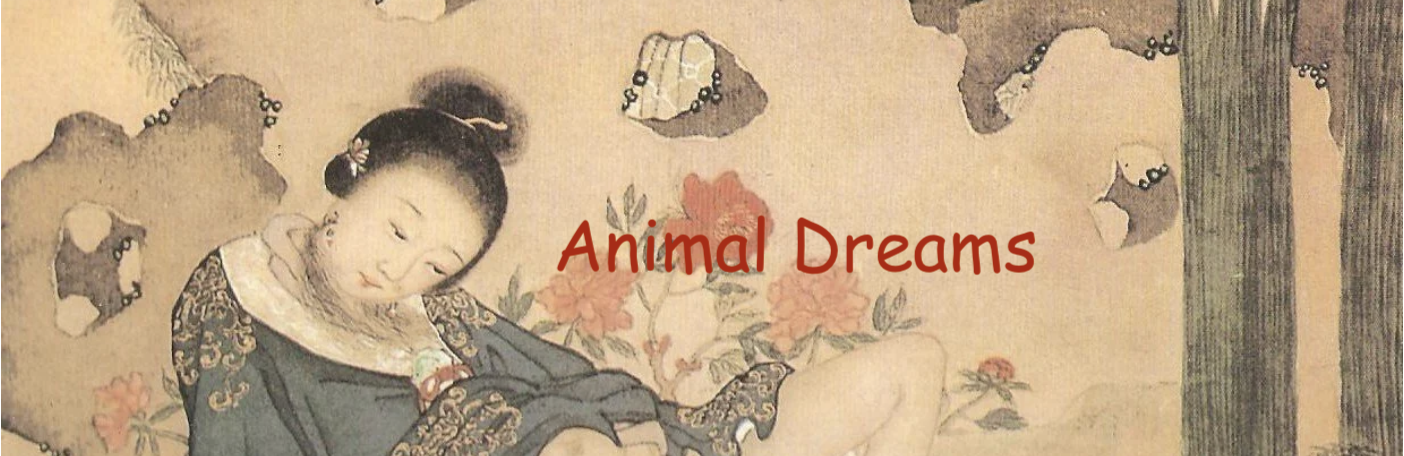 animal dreams banner.png