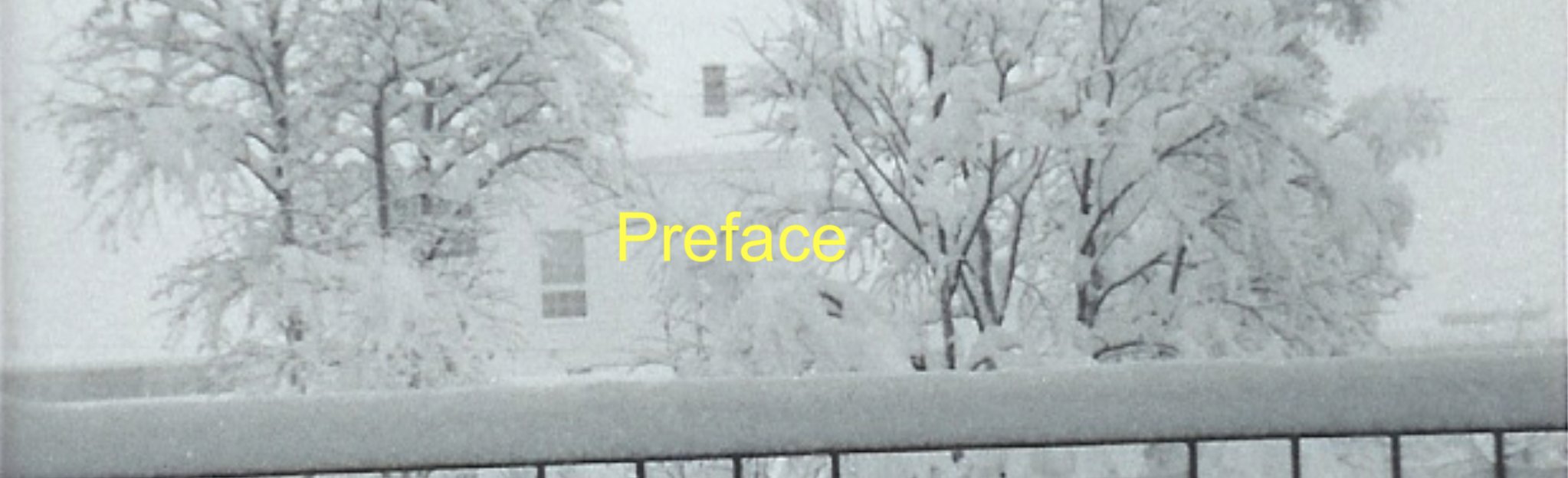 preface banner  snow.png