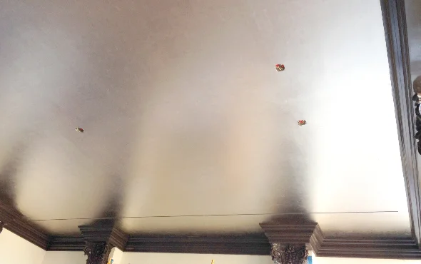 Hand placed caplan leaf ceiling, NYC