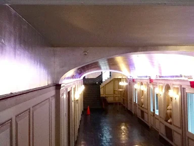 Metal leaf ceiling and details, NYC