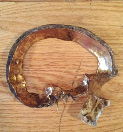  23k water gilded and antiqued human skull for artist Ryan Matthew Cohn 