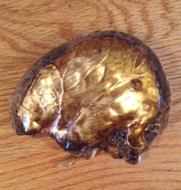  23k water gilded and antiqued human skull for artist Ryan Matthew Cohn 