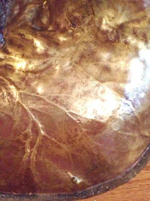  23k water gilded and antiqued human skull for artist Ryan Matthew Cohn 