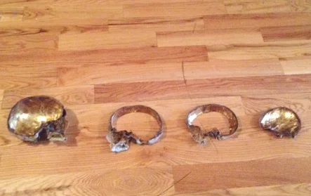  23k water gilded and antiqued human skull for artist Ryan Matthew Cohn 