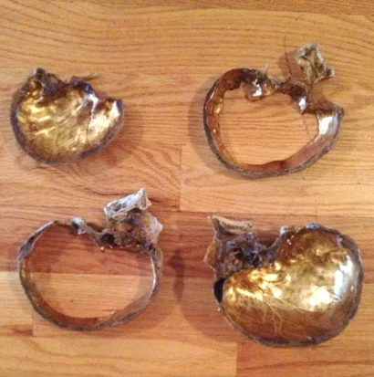  23k water gilded and antiqued human skull for artist Ryan Matthew Cohn 