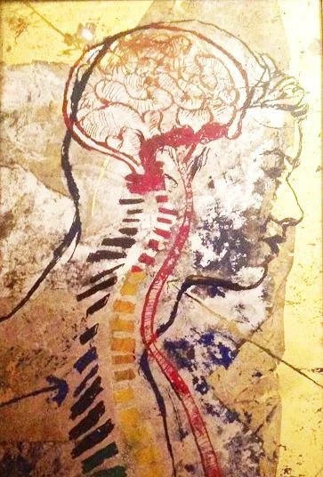anatomy3.jpg