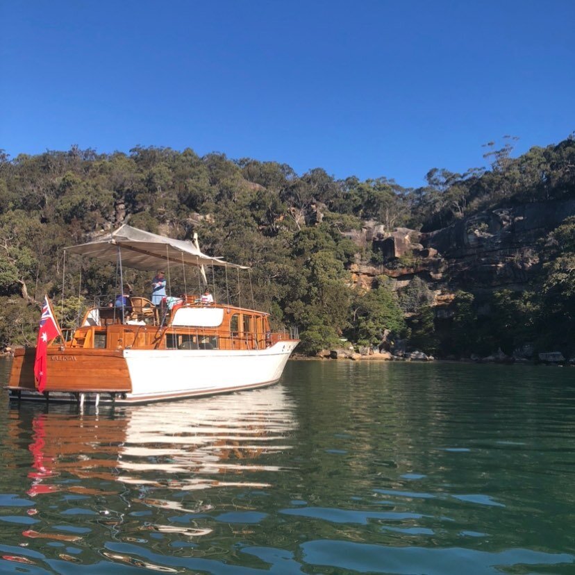 Socially distanced and ready to welcome you aboard in this glorious wilderness so close to home #refugebay #cottagepoint #hawkesburyriver #pittwater #halvorsenboat #woodenboat #charterboat