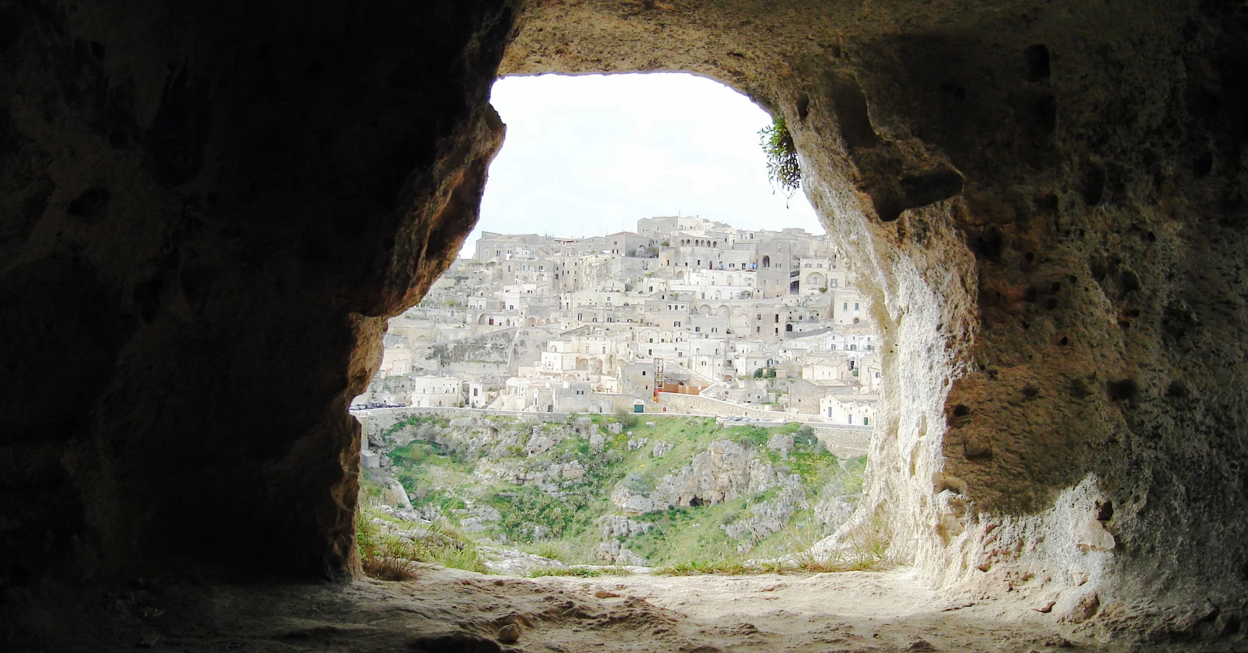 JPEG image-98D9FD7A9AE8-1.jpeg