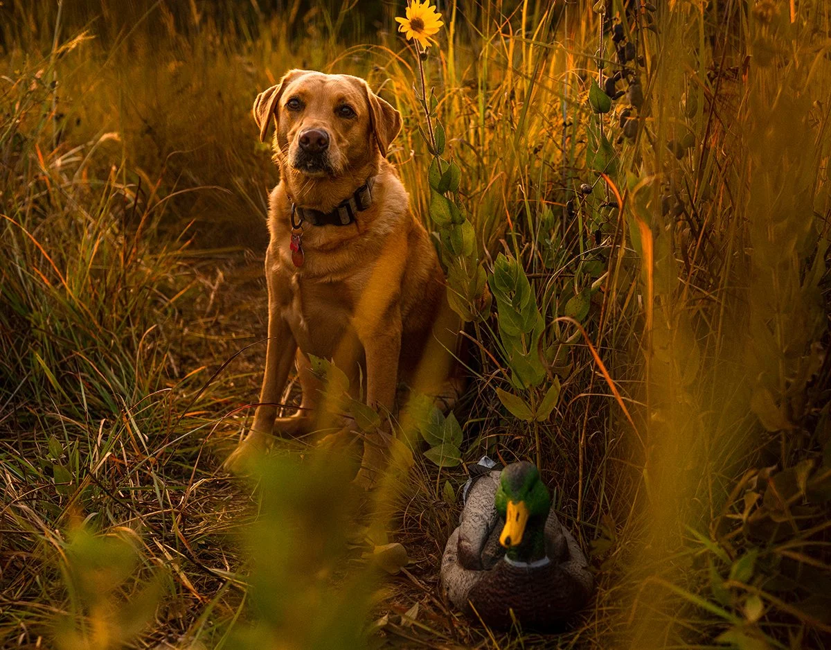 © Ali Wolfe Photography