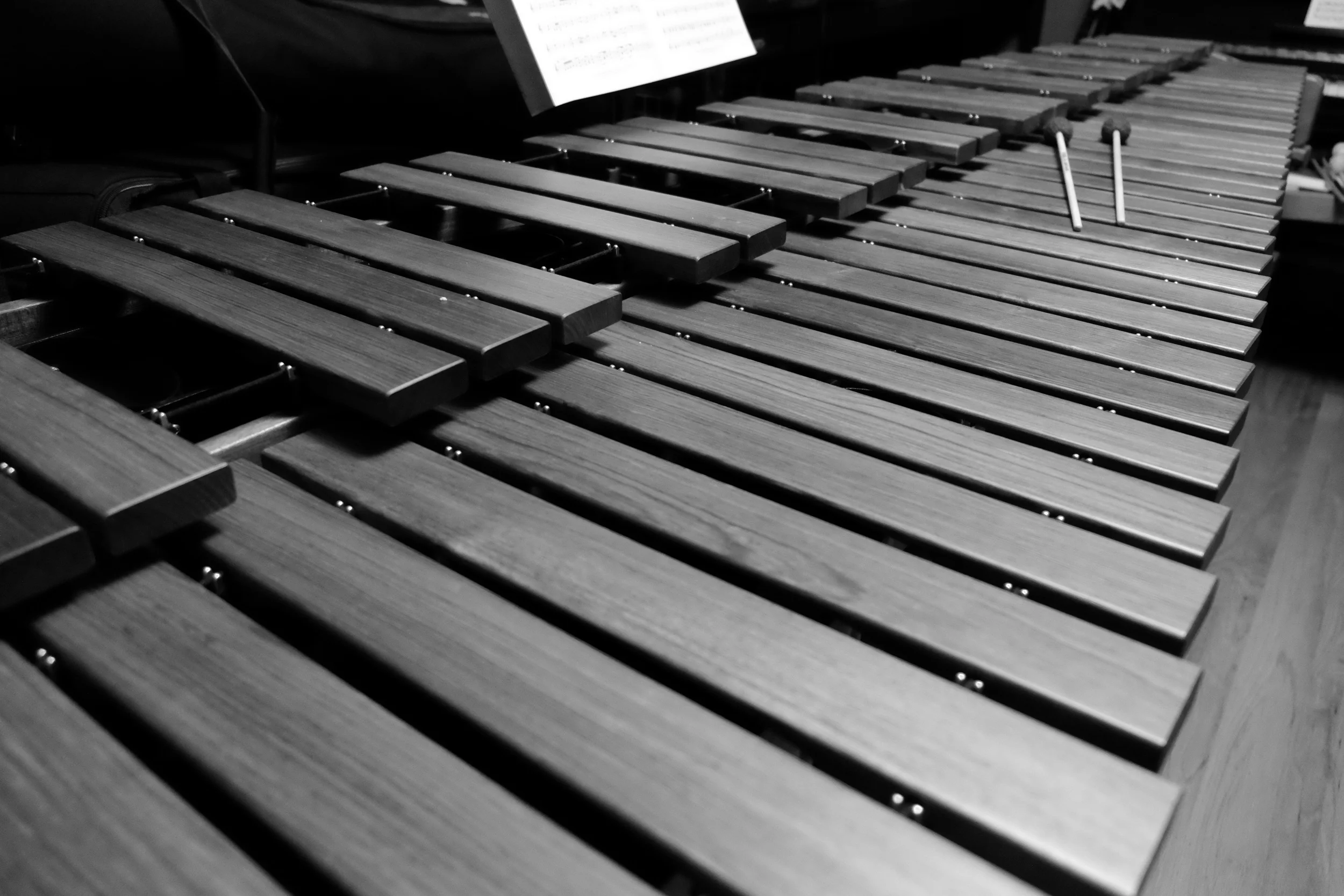 marimba from bass.JPG