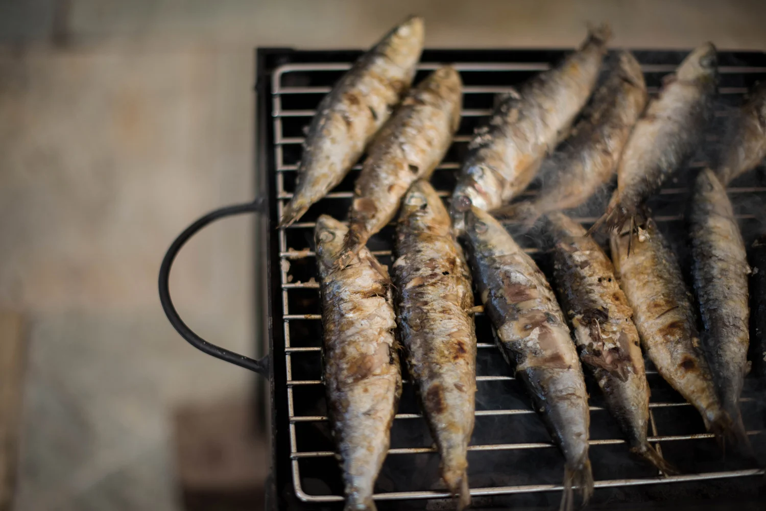 sardines.jpg