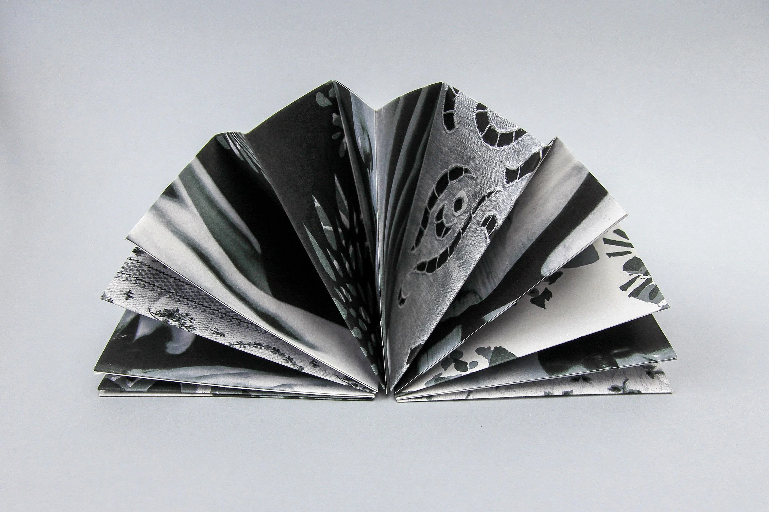  Photographic Brochure 