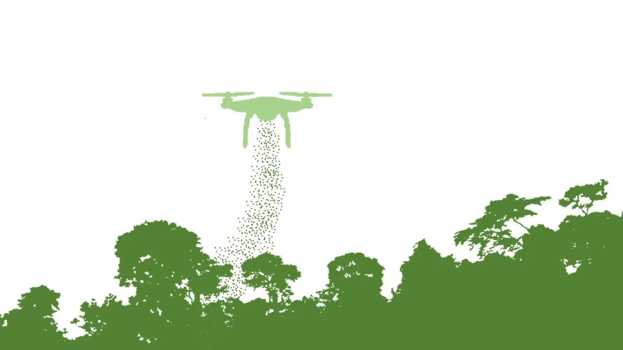 AFR - Automated Forest Restoration