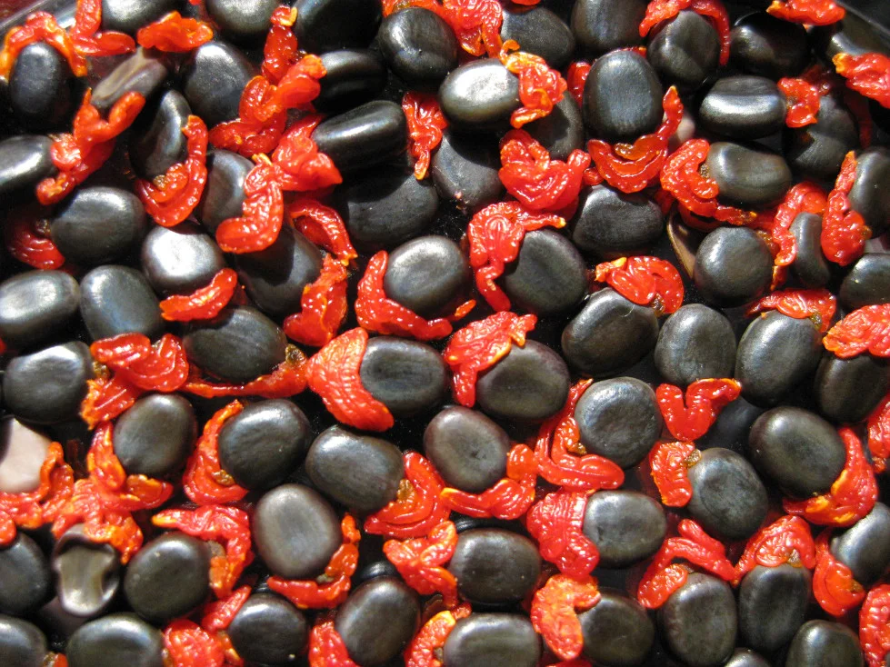 INSR Inaugural Board of Directors Announced