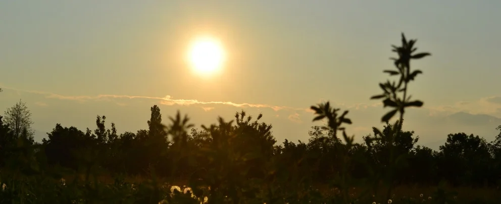 MatrimonioCompa2011 (393).JPG