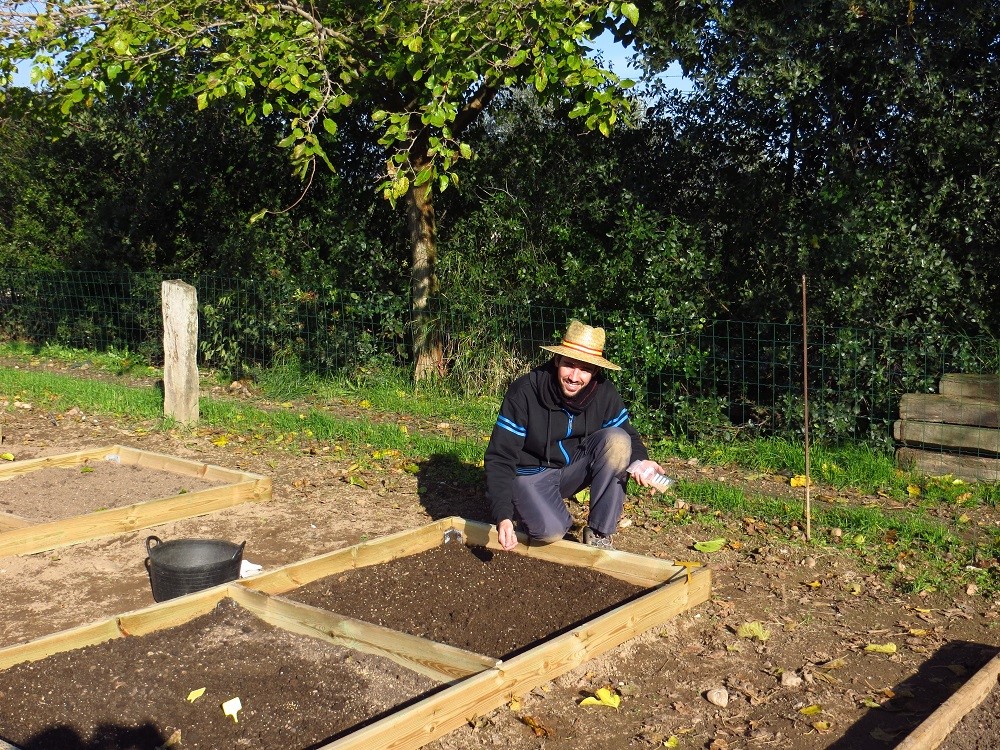 Direct sowing trial at Semillas Silvestres in Cordoba aimed at studying native grasses phenology and at seed multiplication (Spain; Photo by Stephanie Frischie)