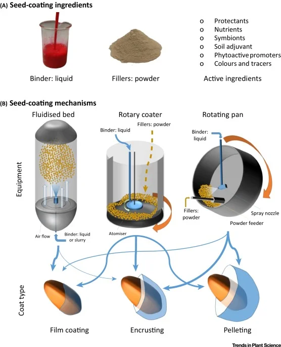 Key Figure: Seed-Coating Ingredients, Equipment, and Coat Type