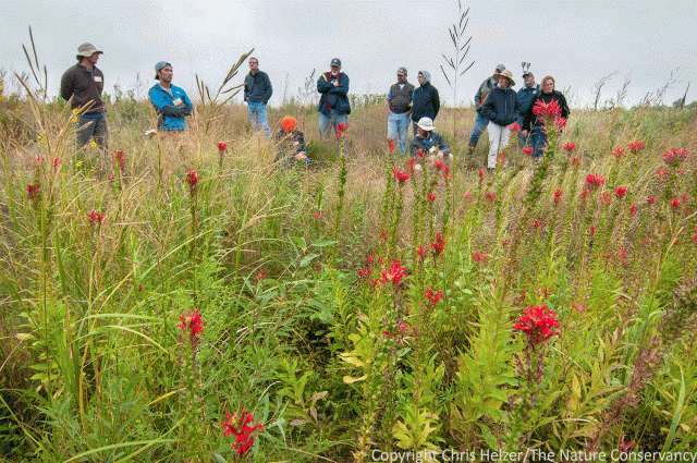 Grassland Restoration Network Workshop