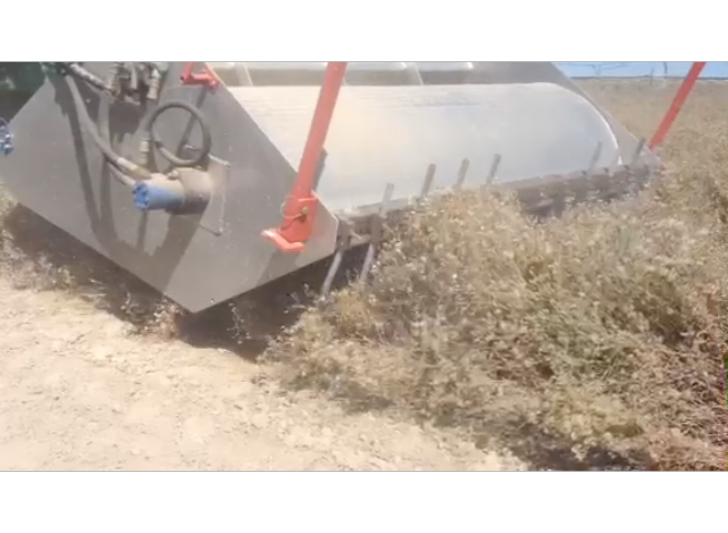 Figure 3. A rigid pipe rake installed on the hood of the Flail-Vac effectively agitated the floral heads knocking seeds loose and allowing them to be sucked in by the suction created from the rotating brushes. Plants tended however to hang up on the rigid pipes and break or uproot. Photo by Derek Tilley.
