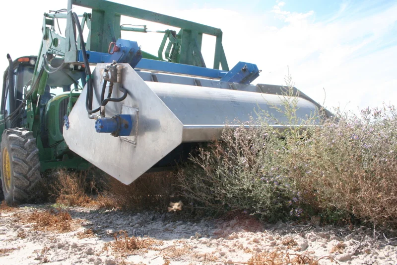 Collecting Light, Wind-dispersed Seed with a Modified Flail-Vac