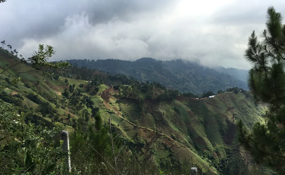 Figure 2. A once forested hillside has been cleared for agriculture in Haiti. The loss of forests has led to severe soil erosion on Haiti’s mountain slopes, reducing agricultural productivity and creating massive flooding and landslides. (Photo: J. Pinto