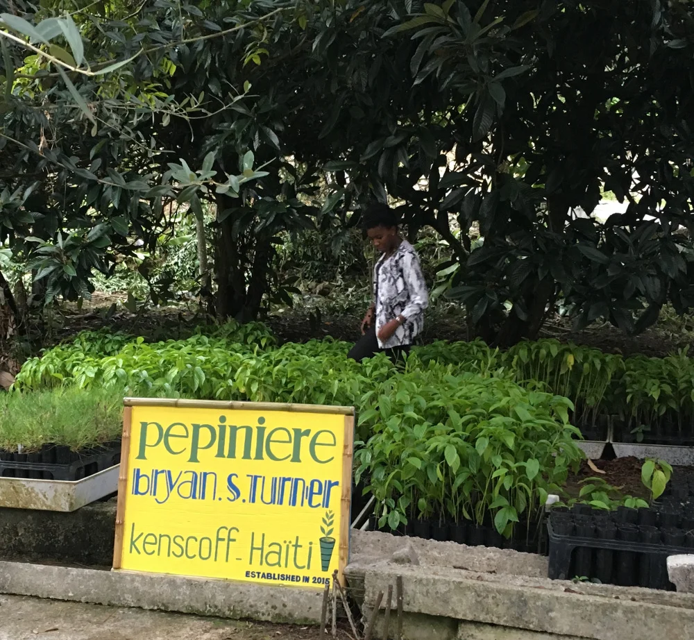 Improving seedling production and access to environmental knowledge in Haiti