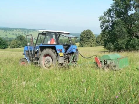 Fig. 3. Brush harvesting. (I. Jongepierová)