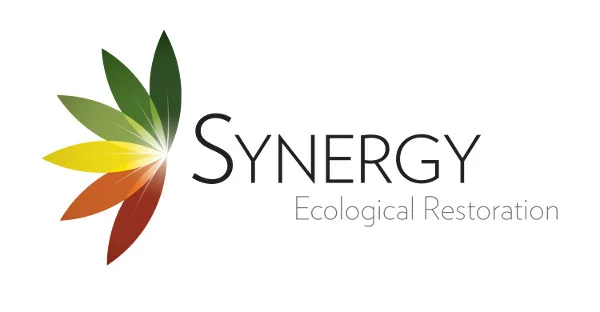Synergy Ecological Restoration