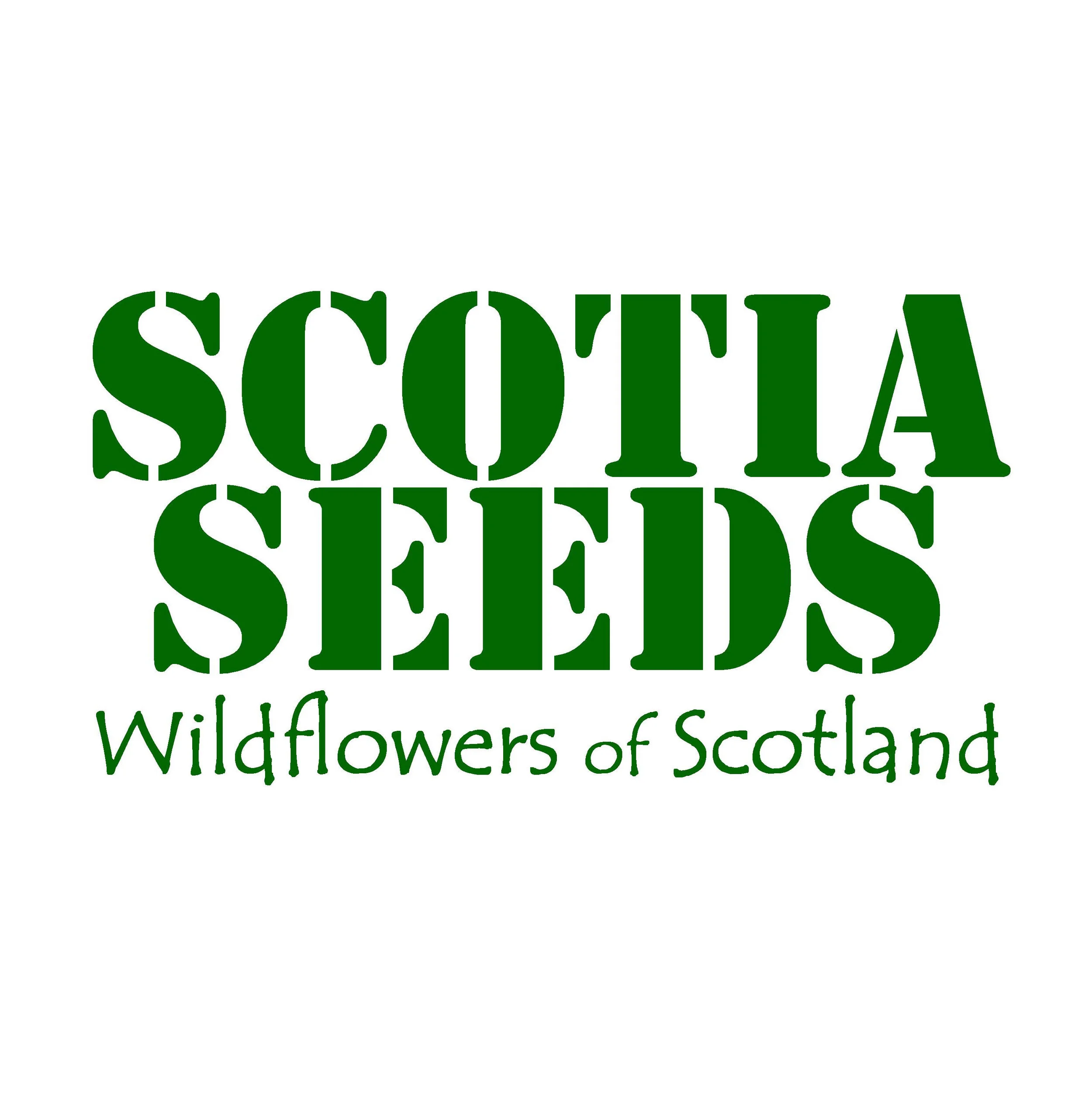 Scotia Seed