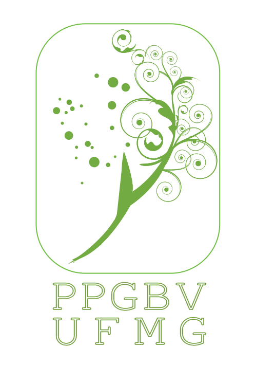 Universidade Federal de Minas Gerais