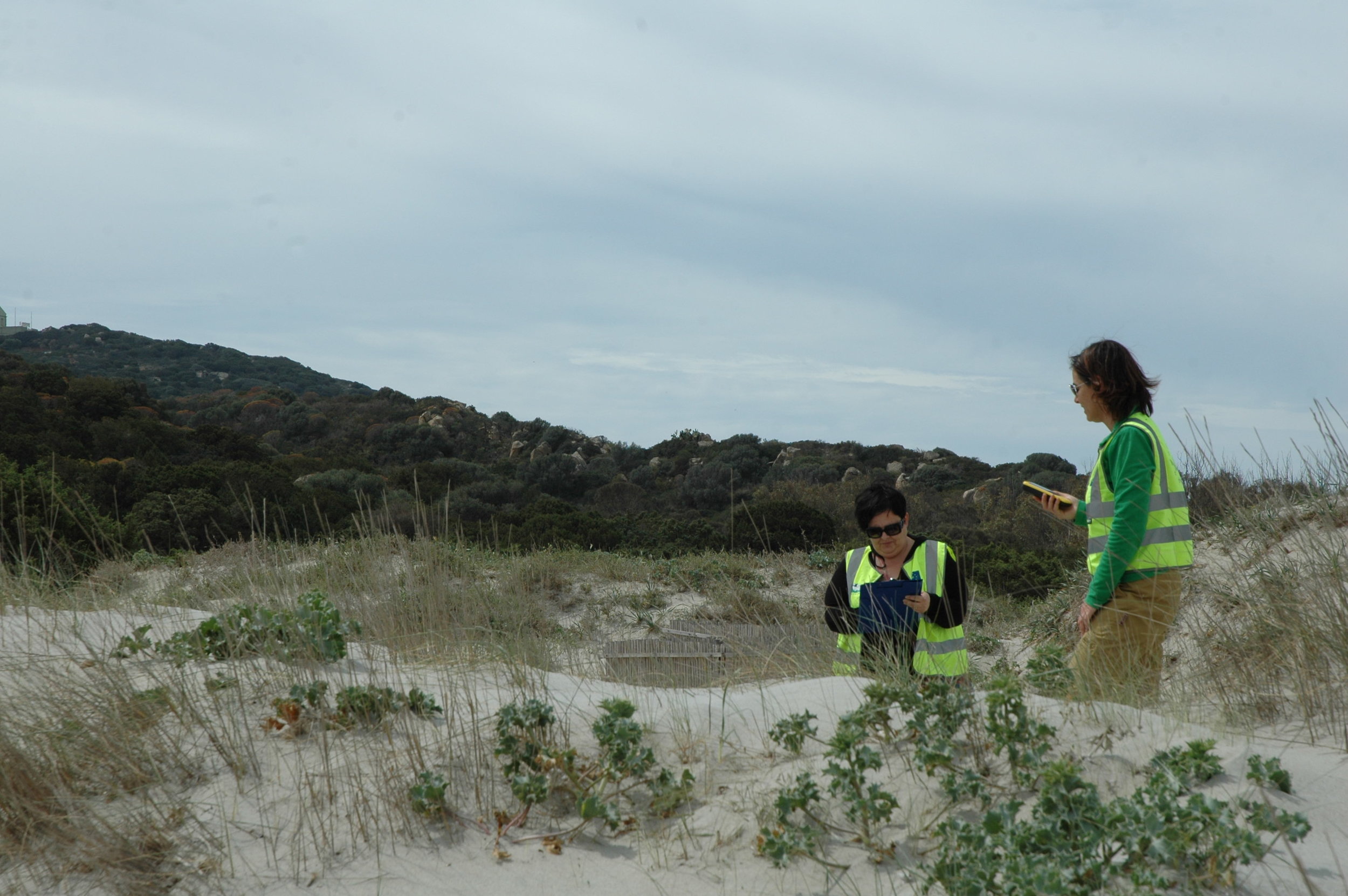  Monitoring of sand dune habitats 