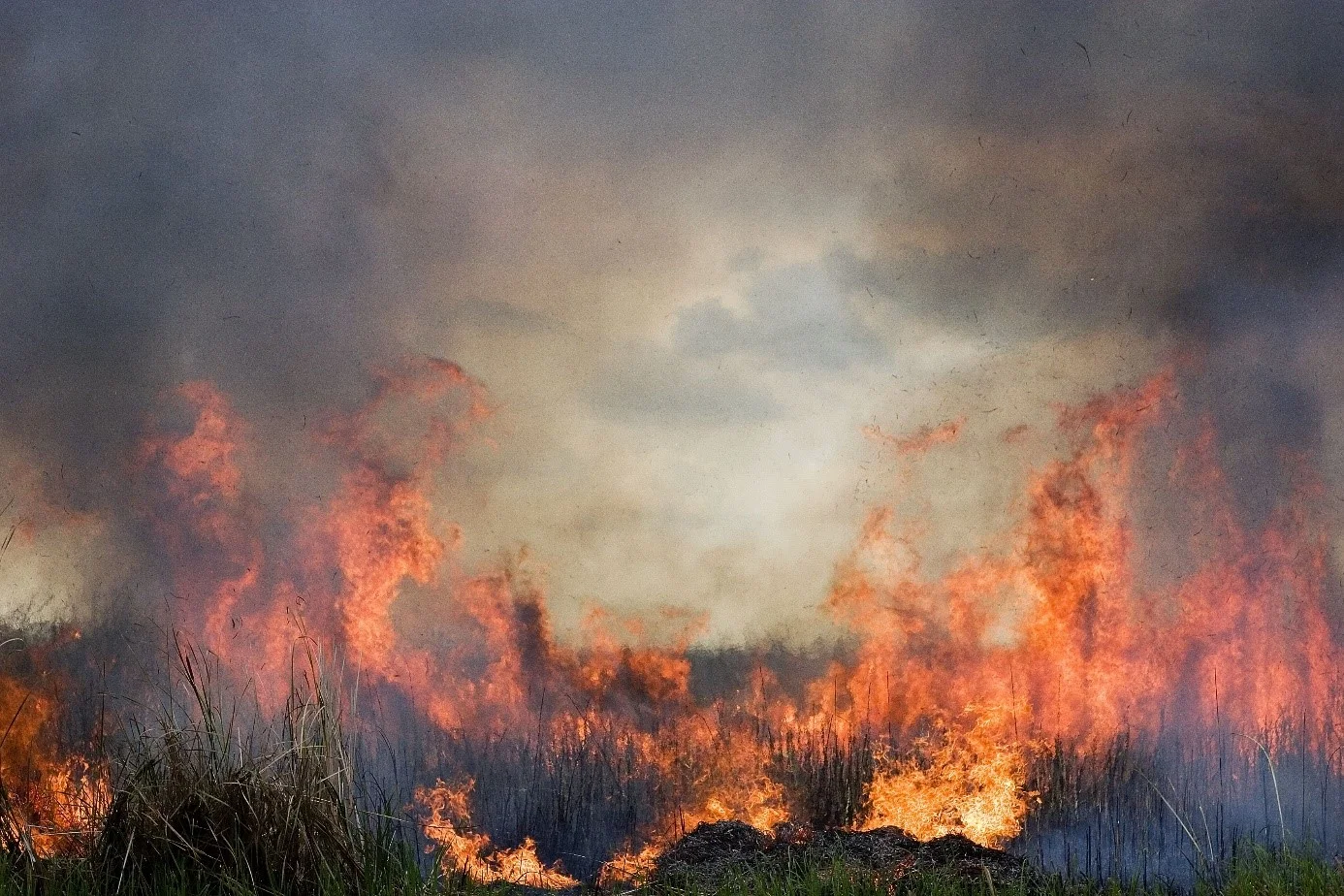 Climatic changes will substantially alter fire regimes. Photo by Balázs Deák.