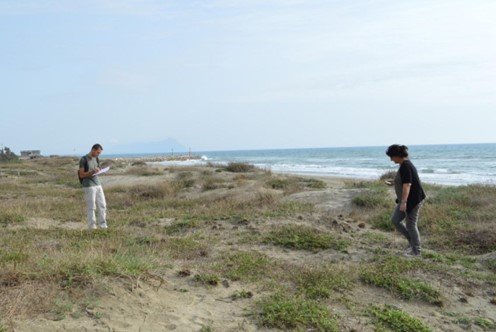 Seed Banking Gaps in Mediterranean Coastal Conservation &amp; Restoration