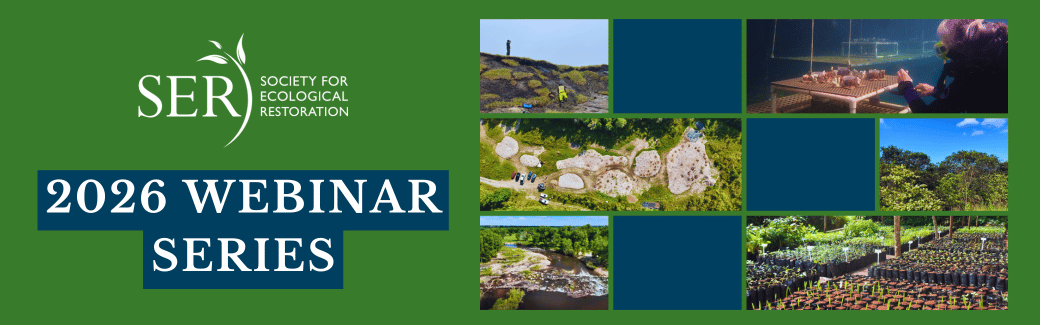 Restoration seed banks: Catalysts for community empowerment and supporting Kenya’s 15-billion-tree agenda