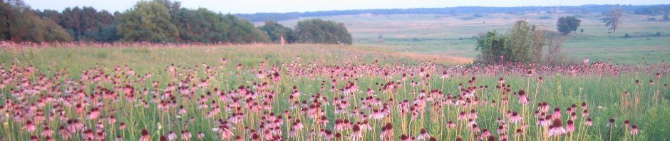 Grassland Restoration Network Meeting